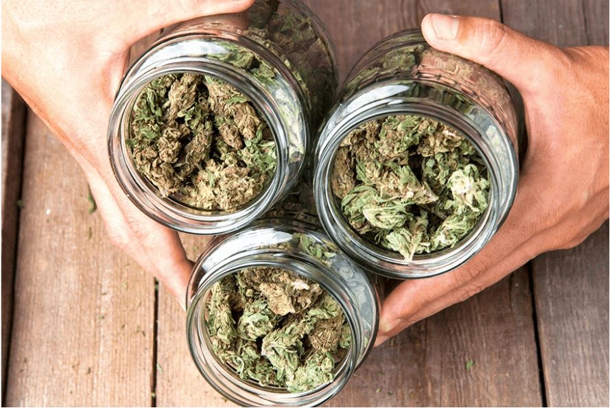 Purchase from this online dispensary and save tons of money without sacrificing quality. Finding a good Canadian online dispensary is easy - get mail order marijuana now!