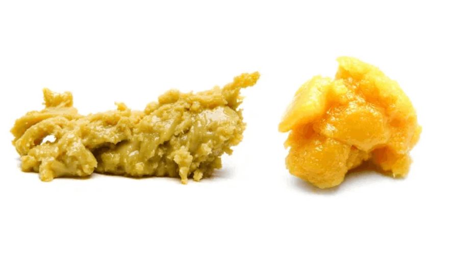 What makes budder weed unique? Why should you consider getting some from your favourite online weed dispensary?