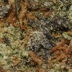 BUY-BISCOTTI-DOUGH-AAAA-FLOWER-HYBRID-AT-CHRONICFARMS.CC-ONLINE-WEED-DISPENSARY-IN-CANADA