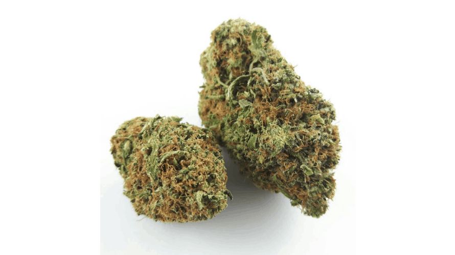 Pink Bubba strain is a rare 100% pure indica hybrid bud and one of the most sought-after in Canada today. But what is it that sets this strain apart from the rest?