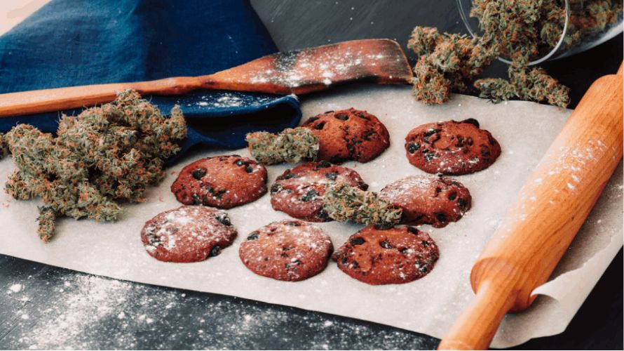 Canadian edibles are available in many different shapes, sizes, and flavours. Do you want to buy edibles online in Canada? Here’s what’s in store for you!
