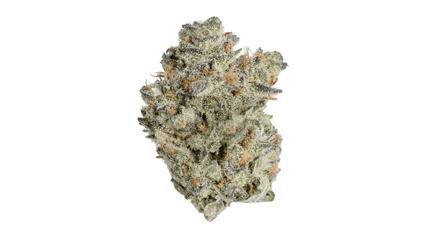 This strain's buds typically have rounded, grape-shaped nugs that are denser than they look. However, some overreaching nodes may make them seem elongated.