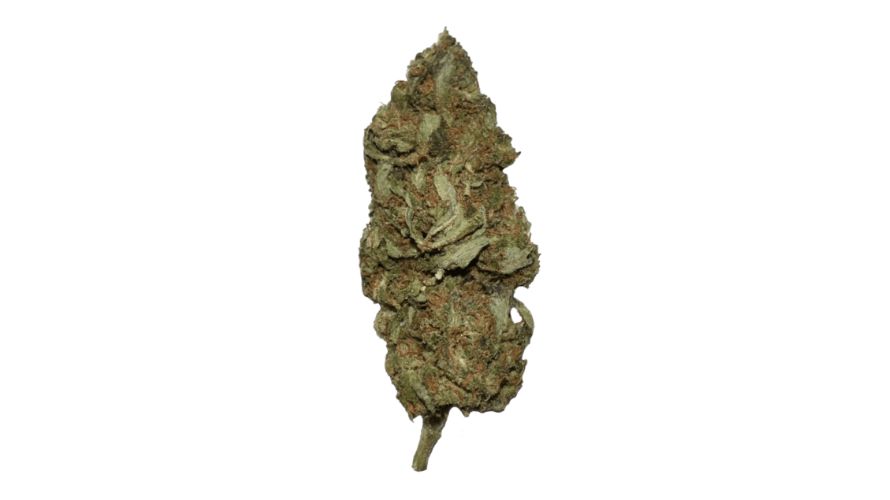 Banana Punch strain is a well-balanced hybrid bud that contains between 18% and 26% average THC.
