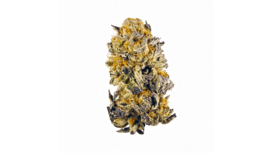 Banana Punch strain is a rare 50-50 hybrid cannabis bud known for its incredible flavour and well-balanced effects.