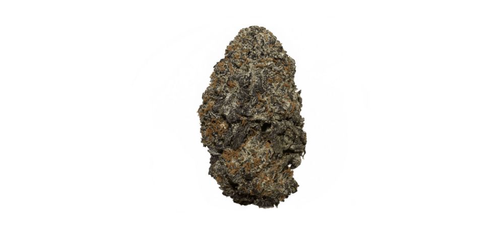 The Black Cherry Punch (AAAA) is another superb option if you want to taste the Papaya strain but you are craving something even sweeter and more sedative. 