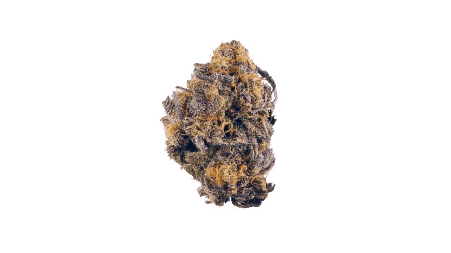 Originating from Northern California, the Black Diamond weed strain is exclusively a clone-only variant—a term we will explain more comprehensively later in this review.