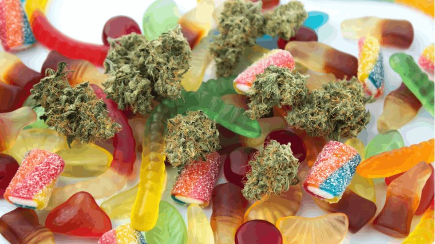 Let's take a stroll down the aisles of an online dispensary and feast our eyes on the smorgasbord of edibles you can buy online in Canada. 