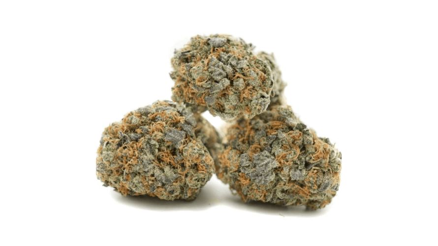 Choosing to experience the Grease Monkey weed strain means you shouldn't settle for less - you want top-notch quality to ensure your adventure is unforgettable.