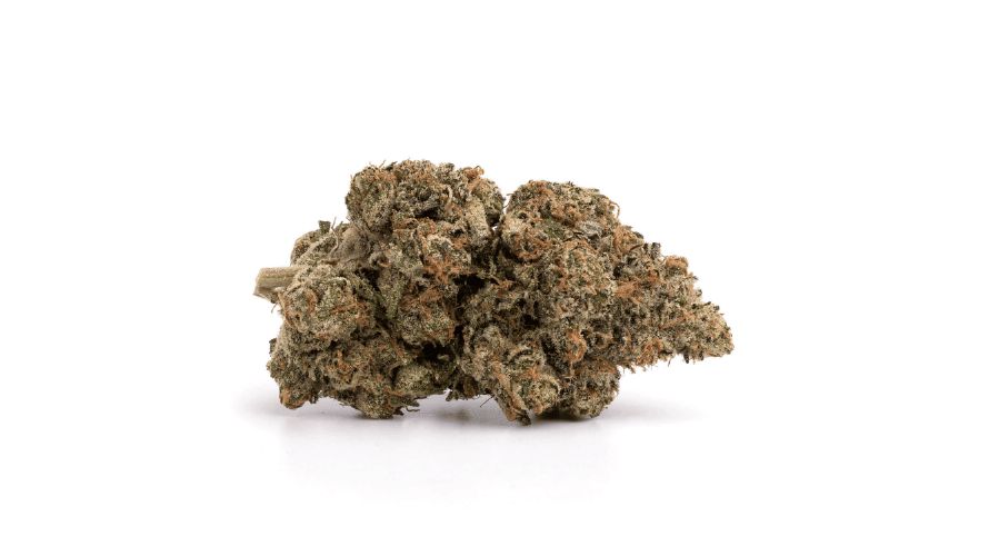 As mentioned, the Greasy Pink Bubba Strain is a pretty rare 100% indica. If you buy weed online, you may wonder how to get your hands on some of these insanely gorgeous buds.