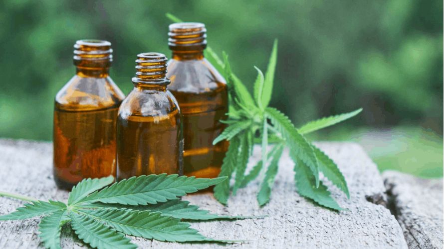 THC oil in Canada is sold in weed dispensaries both online and from -physical stores.