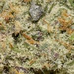 Cadillac Rainbowz AAAA+ Trichomes