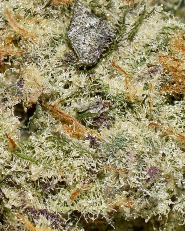 Cadillac Rainbowz AAAA+ Trichomes