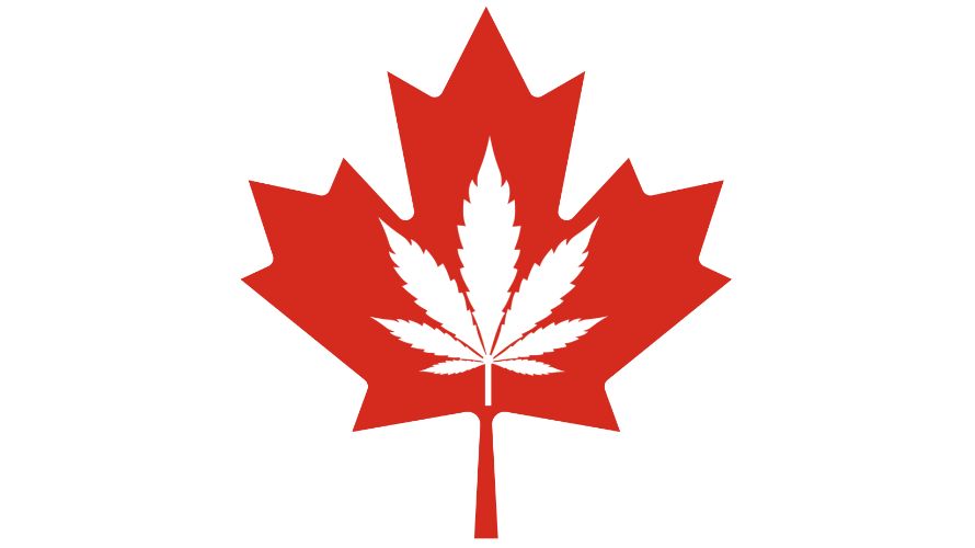 This watershed moment in the country's history created a ripple effect, bolstering international trust in the safety and quality of Canadian cannabis.