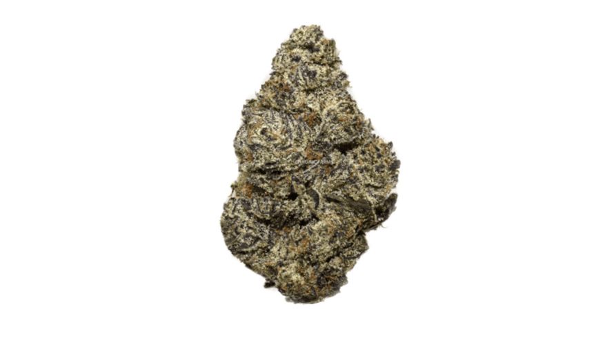 The Dead Elvis (AAAA+) is an ultra-rare Sativa strain, and one of the best options if you want a British Columbia kush to feel more motivated, become productive, and slay the day. 