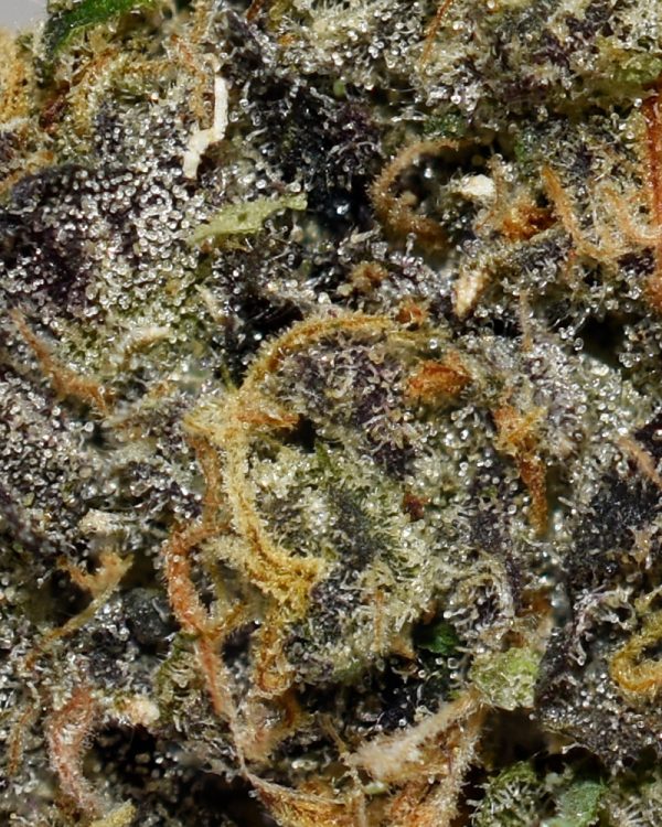 Designer Marker AAAA+ Trichomes