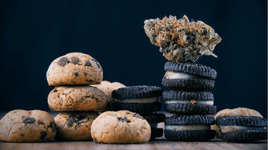 While smoking or vaping cannabis are indeed popular methods of consumption, buying edibles online Canada offers a unique, and often more enjoyable, alternative. 