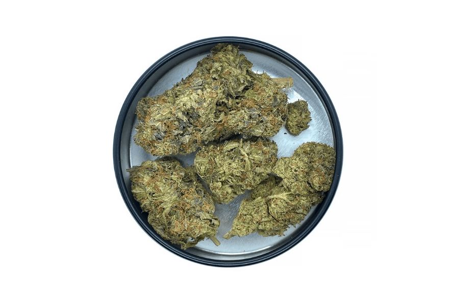 This guide is tailor-made for those of you who are ready to plunge into the depths of the Grease Monkey cannabis strain.