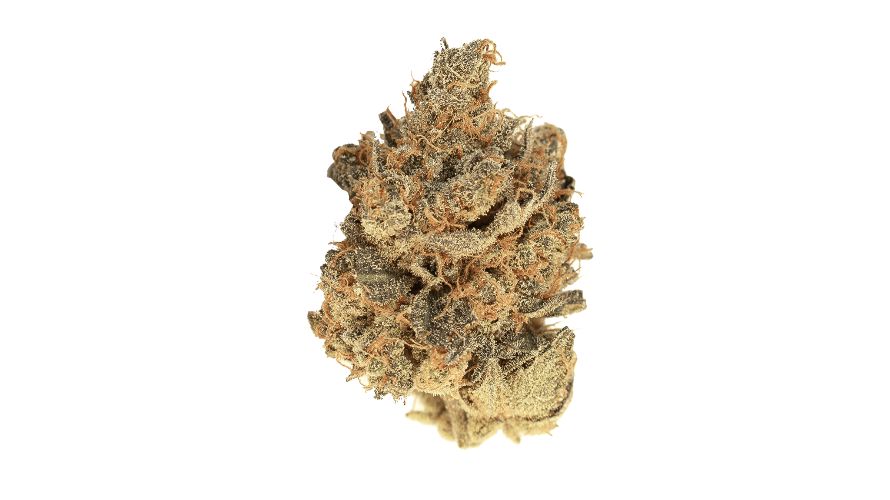 Greasy Pink Bubba is known for its appealing appearance. A trait that it possibly inherits from its popular parent, Pink Kush.