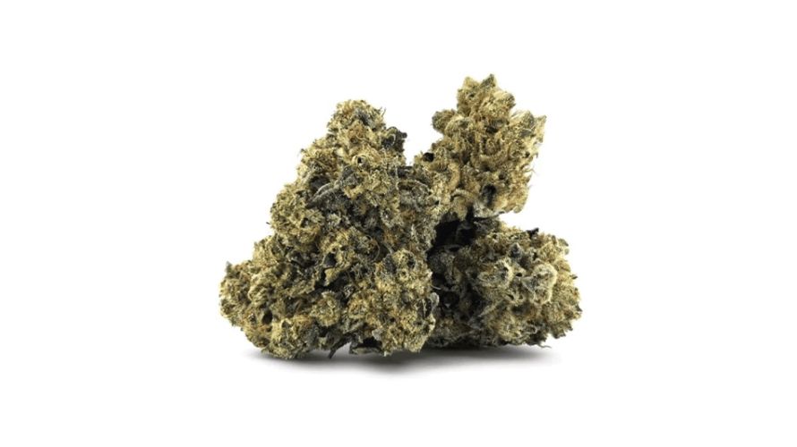 British Columbia kush is abundant, but not all sources will provide you with the best quality buds. 