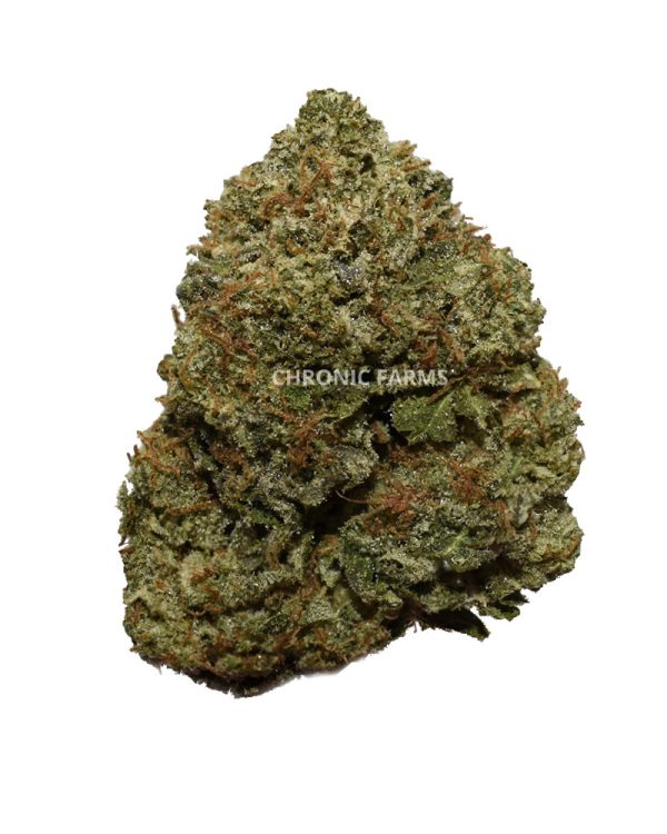 BUY-ISLAND-ROCKSTAR-AAA-FLOWER-AT-CHRONICFARMS.CC-ONLINE-WEED-DISPENSARY-IN-BC