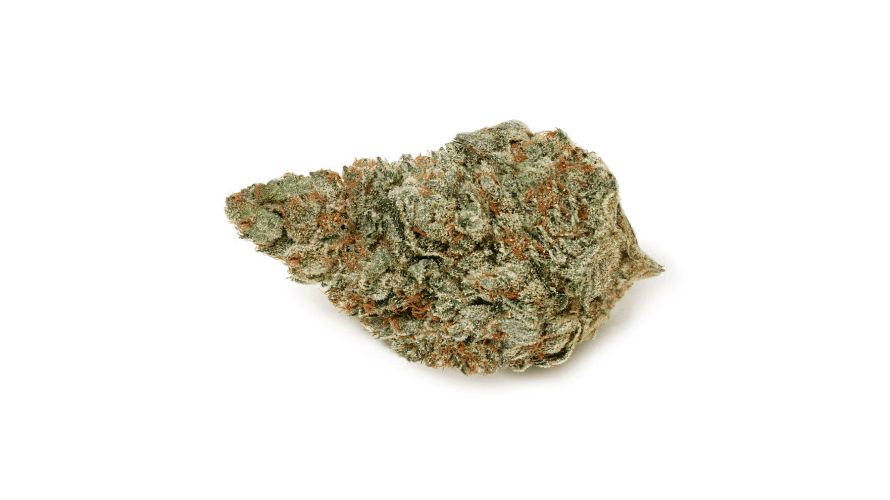 Jet Fuel Gelato is an even hybrid, meaning it contains 50% sativa and 50% indica. This strain’s balanced genetics give you the best of both worlds. 