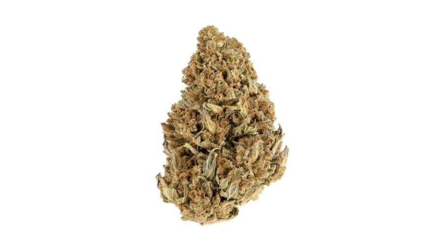 Jet Fuel Gelato is a delightful strain to smoke, one that you should definitely buy online in Canada. 