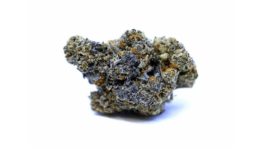 Jet Fuel Gelato is one of those strains every long-time smoker has tried at least once. This strain is incredibly potent, and will likely give you a high you’ll remember for a long time.