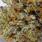 Katsu Bubba AAAA+ Trichomes