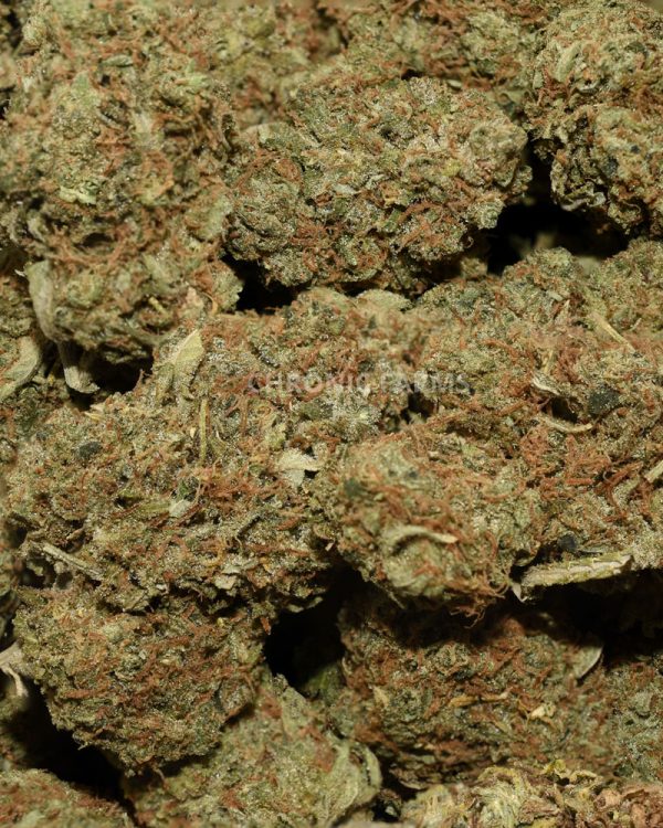 BUY-LEMON-ZKITTLEZ-AAA-FLOWER--AT-CHRONICFARMS.CC-ONLINE-WEED-DISPENSARY-IN-BC