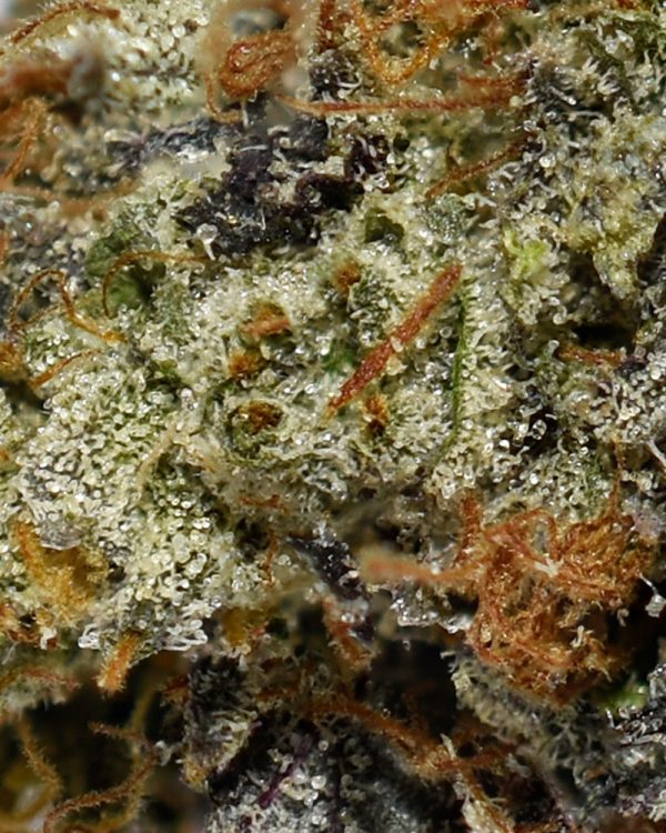 MK Ultra AAAA+ Trichomes