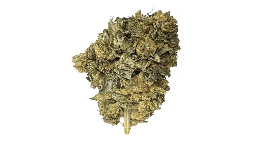 The Purple Kush strain - the best pure Indica for stress, tension, anxiety, and insomnia!