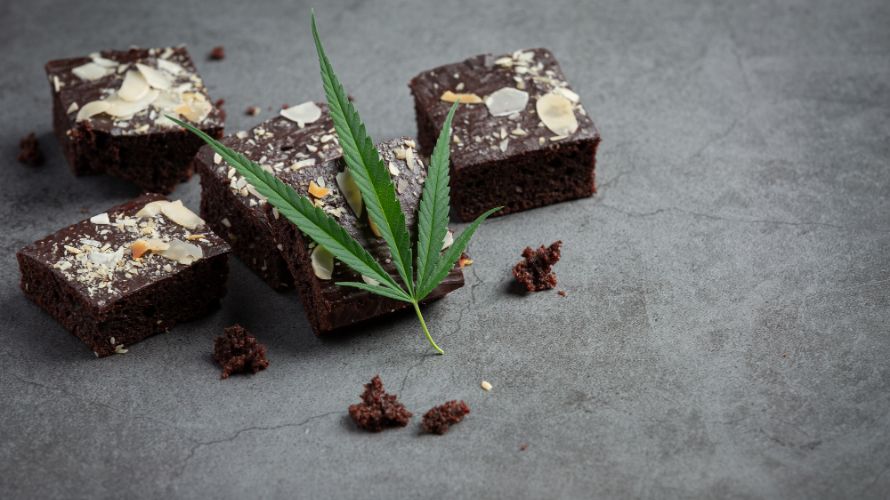 Now that you know the basics of how to make brownies with weed, there are a few other things you might want to consider.