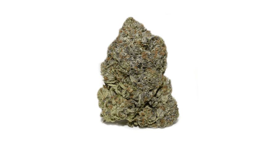 Broke? Looking for the best deals on weed? If so, the Mike Tyson (AAAA+) is a premium cannabis strain, exclusively available at our online dispensary, only for $9.99. 
