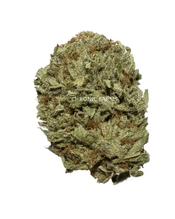 BUY-NUKEN-AA-CANNABIS-FLOWER-AT-CHRONICFARMS.CC-ONLINE-WEED-DISPENSARY-IN-BC-ALBERTA-TORONTO-ONTARIO-CALGARY-NOVASCOTIA-MANITOBA-QUEBEC