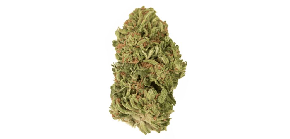 Namely, the Papaya Punch strain is the result of mixing the Purple Punch and the Papaya strains.