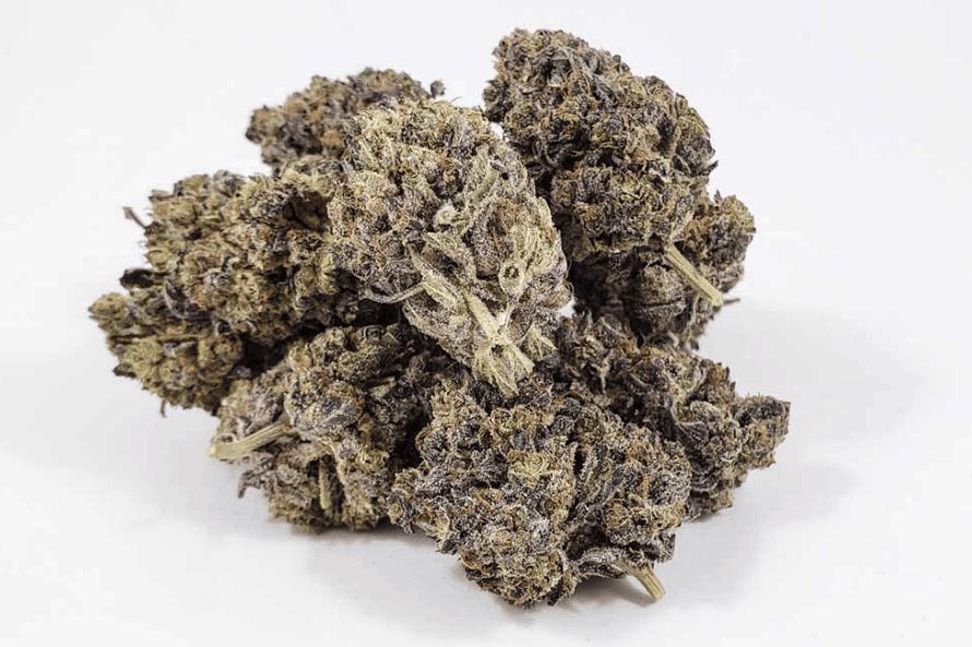 The Purple Space Cookies is an Indica that's approved even by our alien friends - it's going to give your life the interstellar excitement it's lacking!