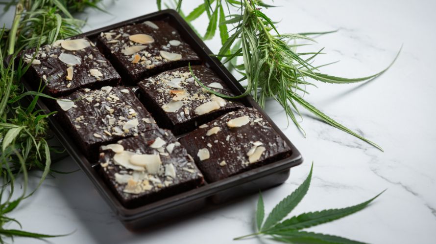 When it comes to making weed brownies, one of the most critical decisions you'll make is the type of cannabis you use. 
