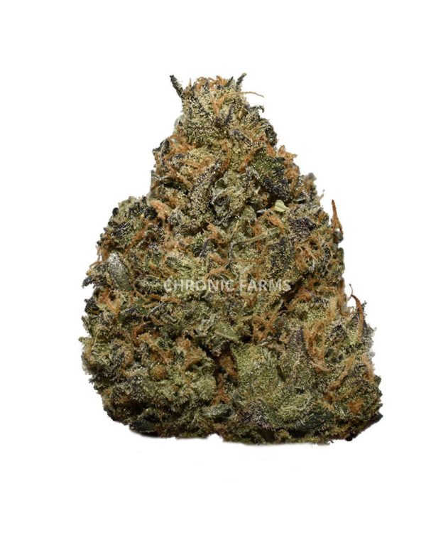 BUY-TANGERINE-COOKIES-AAA-FLOWER-AT-CHRONICFARMS.CC-ONLINE-WEED-DISPENSARY-IN-BC