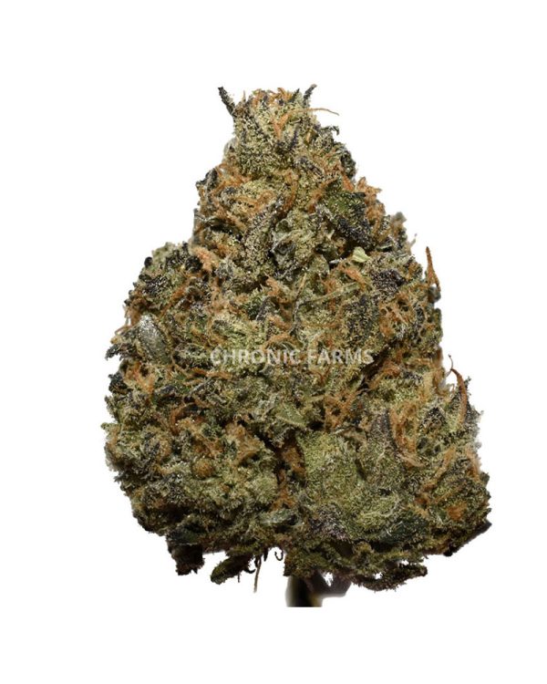 BUY-TANGERINE-COOKIES-AAA-FLOWER-AT-CHRONICFARMS.CC-ONLINE-WEED-DISPENSARY-IN-BC