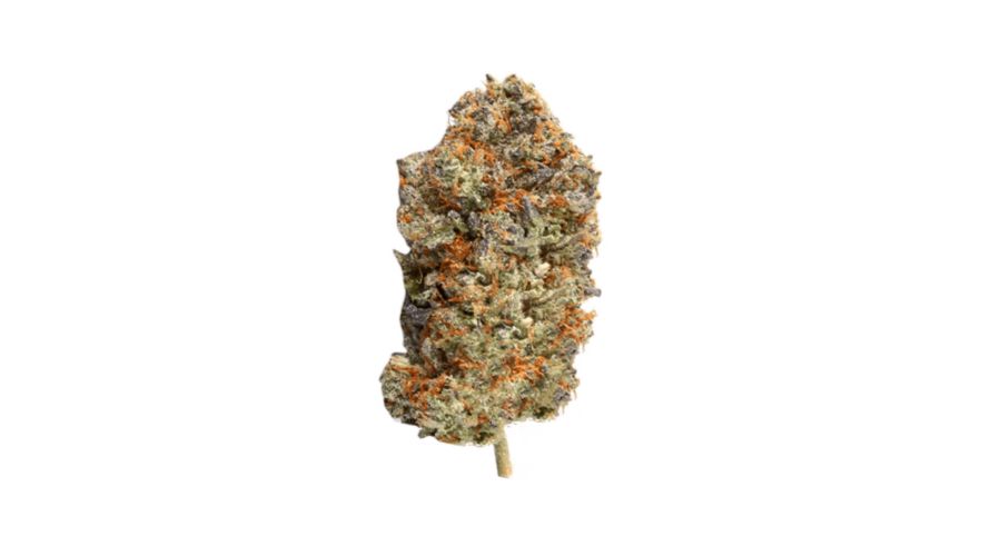 The Grease Monkey Strain is a hefty Indica-dominant strain, boasting a substantial THC content ranging between 25-27%. 