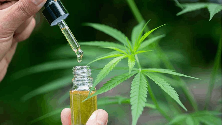 There are various methods of consuming THC oil. The consumption method can impact the onset, duration, and intensity of the effects, as well as the overall user experience. 