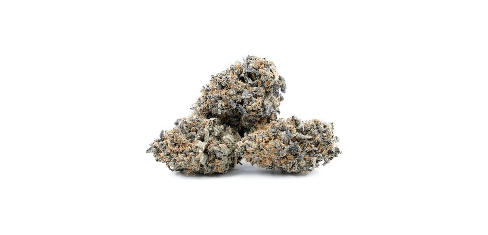 As hinted before, the Papaya strain is robust, with an average THC content ranging between 20 to 25 percent, and 1 percent CBN. 