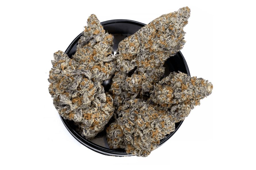 This will include its genetics, terpenes profile, smell, effects, and where to buy Jet Fuel Gelato online in Canada. 