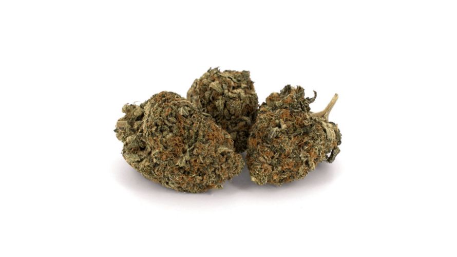 While the exact lineage of the Tom Ford strain may vary, it is believed to be a hybrid of the popular Pink Kush and an unknown Indica strain.