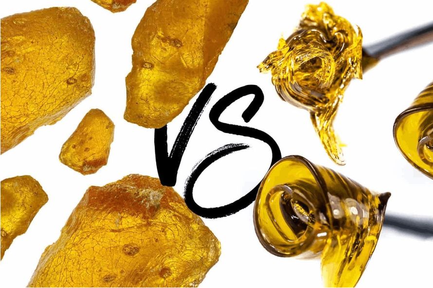 There are many cannabis concentrates in the market currently, each with lots of nicknames and only subtle differences from closely related products. But with live rosin vs shatter, that is not the case.