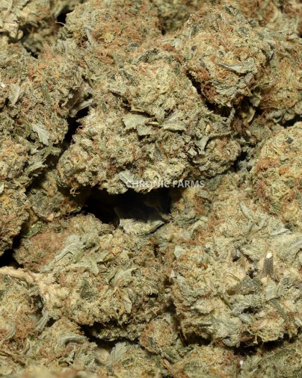 BUY-VANILLA-KUSH-AA-FLOWER--AT-CHRONICFARMS.CC-ONLINE-WEED-DISPENSARY-IN-BC