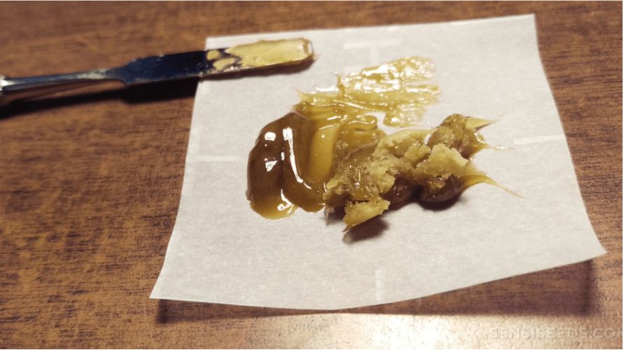 Rosin is a popular cannabis concentrate packed with cannabinoids, terpenes and other marijuana plant compounds.