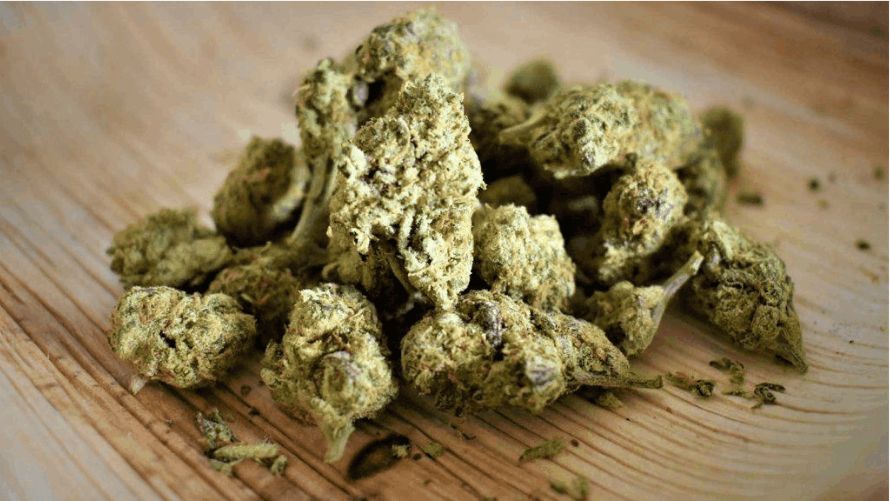 If you are a newbie and you are searching for a beginner-friendly cheap bud, we recommend choosing a lower or moderate-potency strain. 