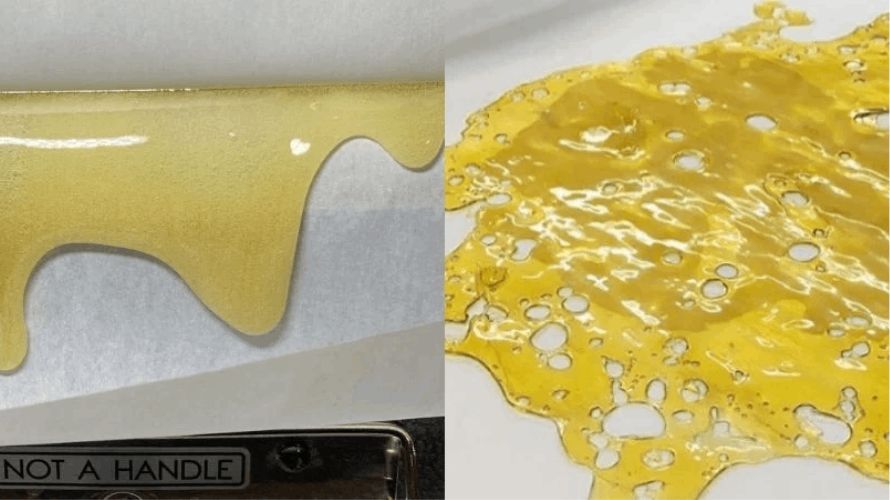 This is the main difference when comparing live rosin vs shatter. Rosin is a solventless concentrate which means it's made using a mechanical extraction method rather than a solvent.
