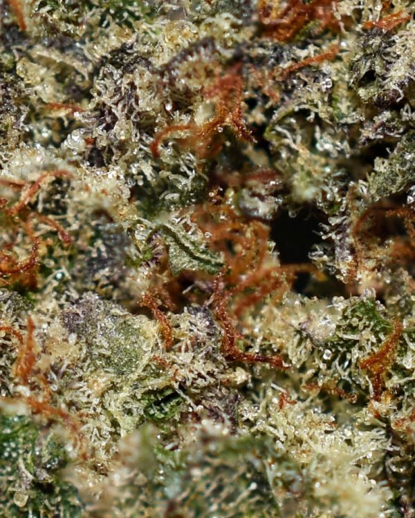 Black Diamond AAA Trichomes